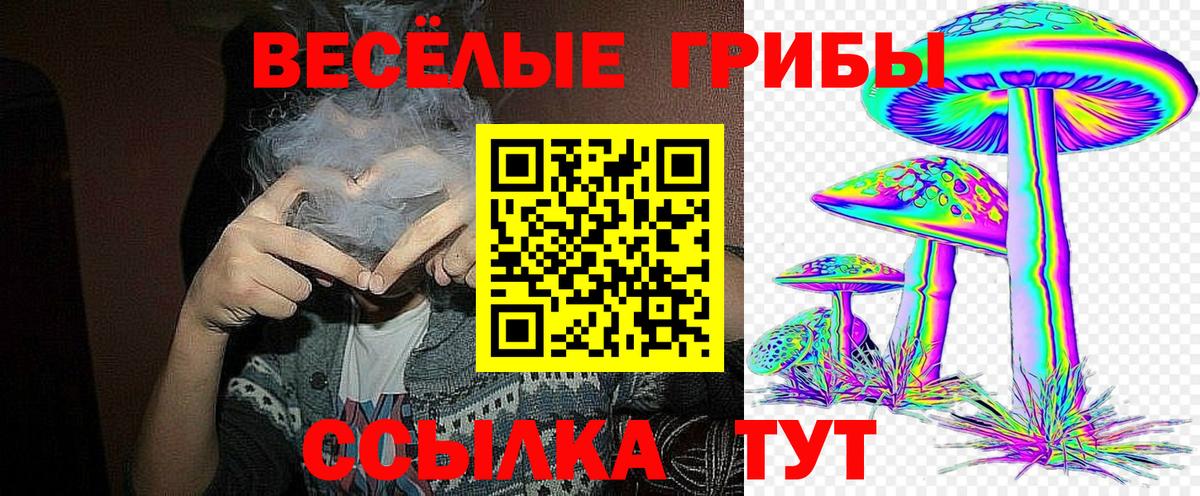 Галлюциногенные грибы Cubensis Пугачёв
